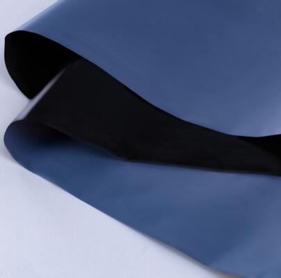 পিপি রিলিজ ফিল্ম ইম্বোসড ব্লো মোল্ডিং কাটিং সার্ভিস ওয়াটারপ্রুফিং ঝিল্লি জন্য