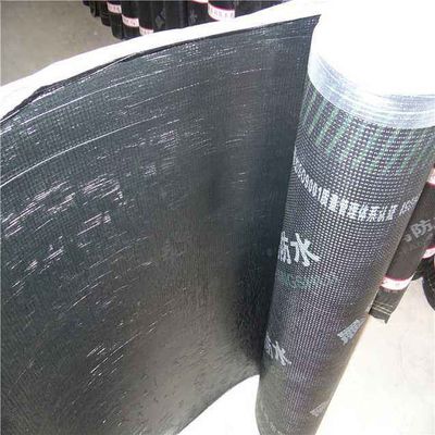 এসবিএস ছিদ্রযুক্ত ফিল্ম